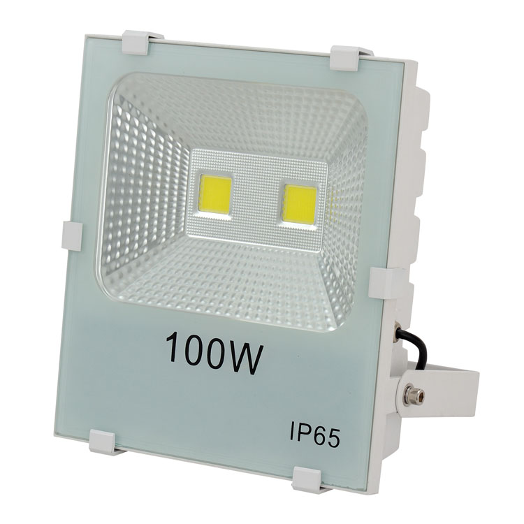 B-100W COB